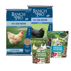 Poultry Feed & Treats Image